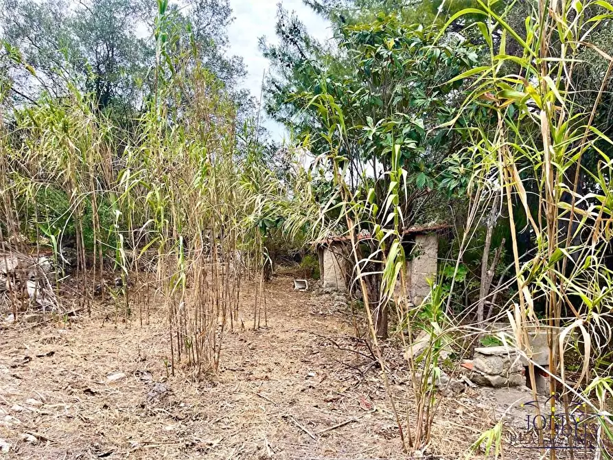 Immagine 24 di Rustico / casale in vendita  in Epipoli a Siracusa