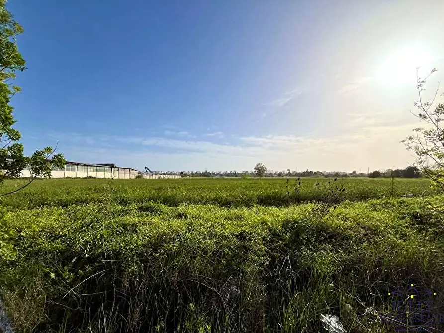 Immagine 4 di Terreno edificabile in vendita  in Via pantanelli a Siracusa