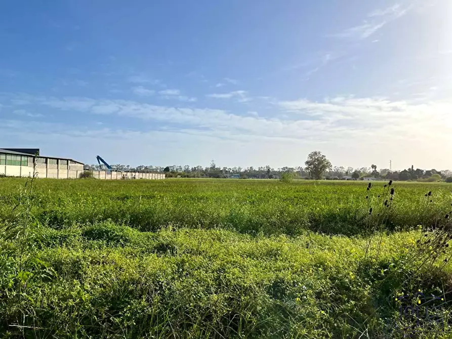 Immagine 7 di Terreno edificabile in vendita  in Via pantanelli a Siracusa
