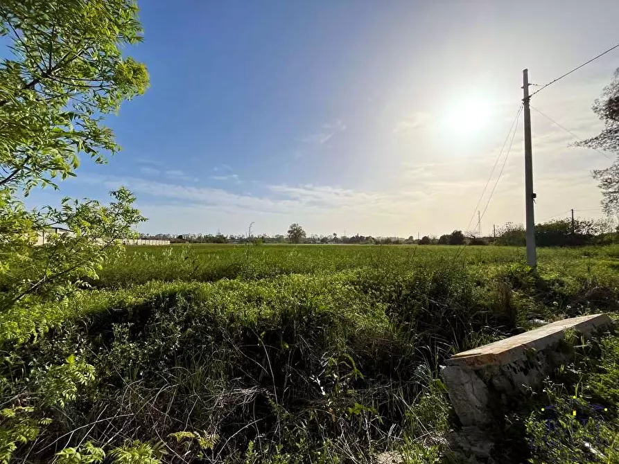 Immagine 12 di Terreno edificabile in vendita  in Via pantanelli a Siracusa