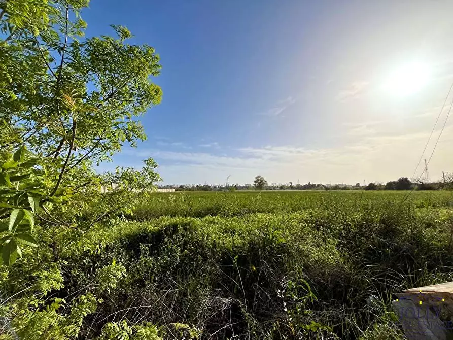 Immagine 14 di Terreno edificabile in vendita  in Via pantanelli a Siracusa