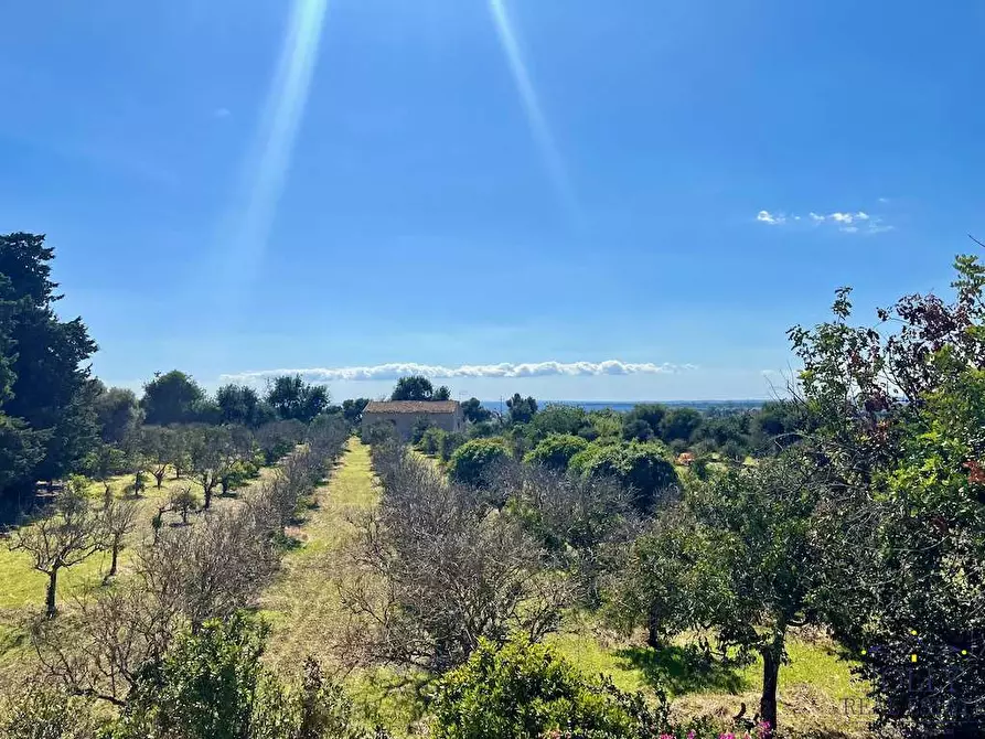 Immagine 45 di Rustico / casale in vendita  in Via Isola a Siracusa