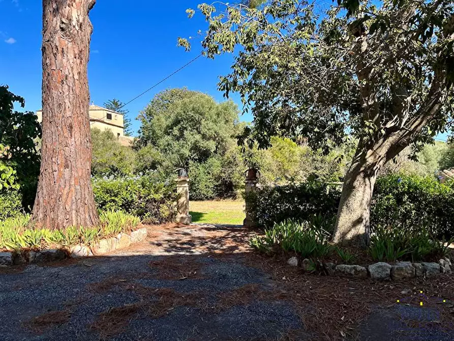 Immagine 46 di Rustico / casale in vendita  in Via Isola a Siracusa