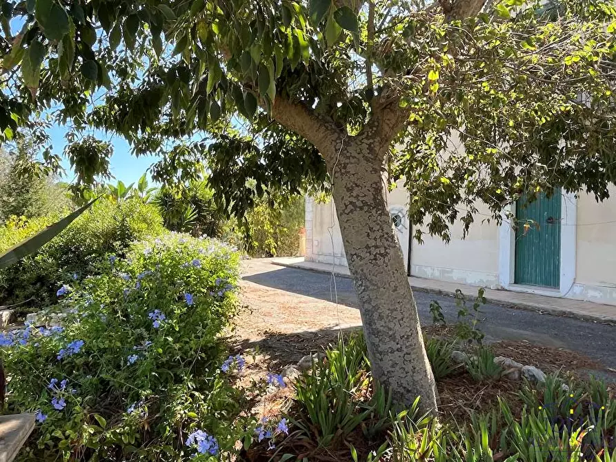 Immagine 50 di Rustico / casale in vendita  in Via Isola a Siracusa