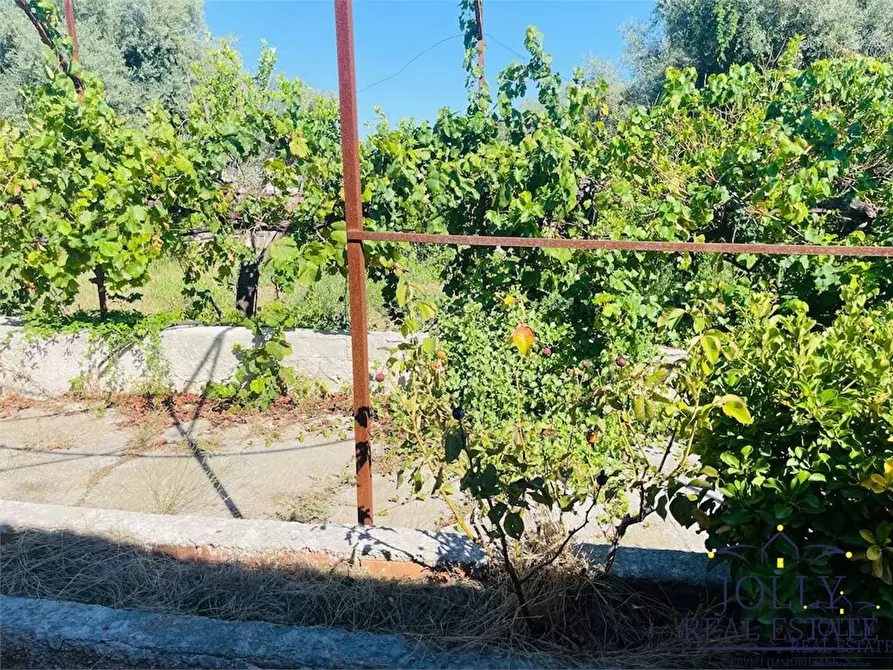 Immagine 18 di Villa in vendita  in rigiliffi a Siracusa