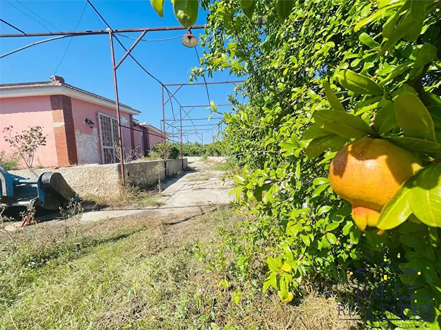 Immagine 21 di Villa in vendita  in rigiliffi a Siracusa