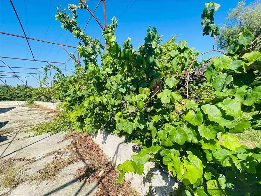 Immagine 22 di Villa in vendita  in rigiliffi a Siracusa