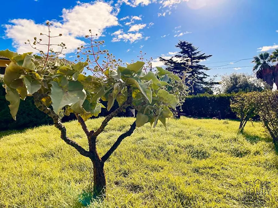 Immagine 36 di Villa in vendita  in contrada madonna marina a Noto