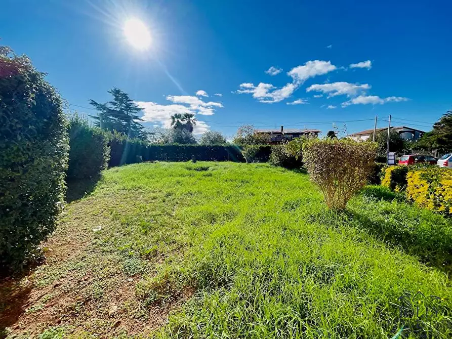 Immagine 38 di Villa in vendita  in contrada madonna marina a Noto