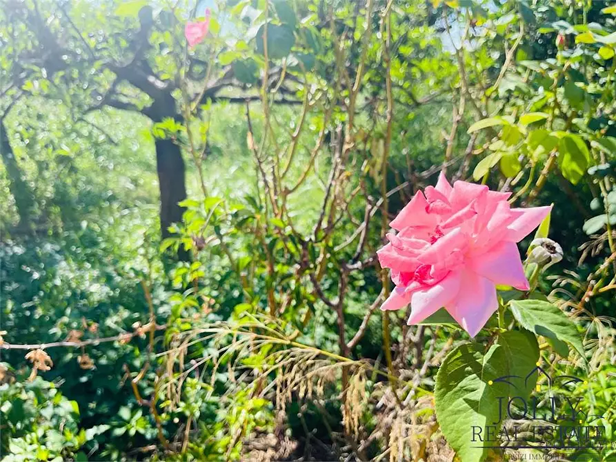 Immagine 25 di Villa in vendita  in rigiliffi a Siracusa