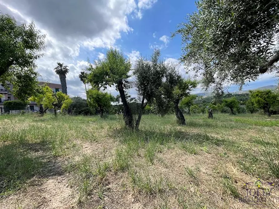 Immagine 4 di Terreno edificabile in vendita  in contrada madonna marina a Noto
