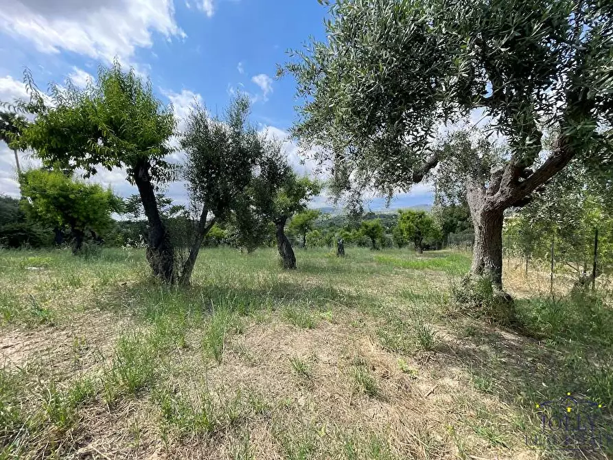 Immagine 5 di Terreno edificabile in vendita  in contrada madonna marina a Noto