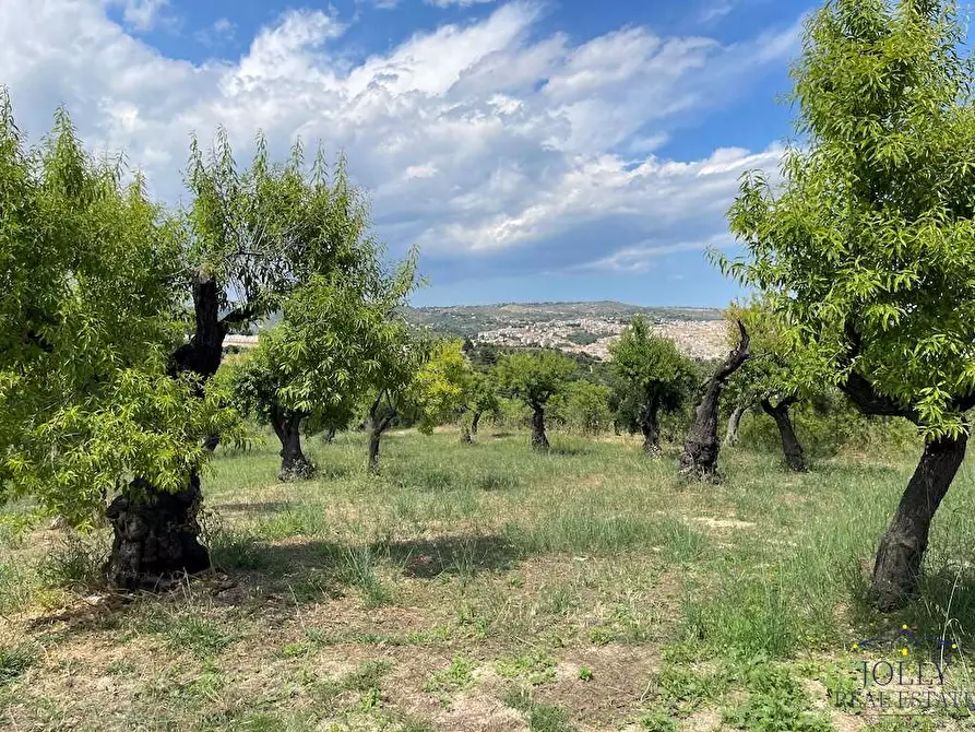 Immagine 9 di Terreno edificabile in vendita  in contrada madonna marina a Noto