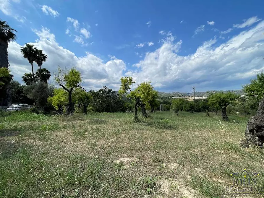 Immagine 11 di Terreno edificabile in vendita  in contrada madonna marina a Noto
