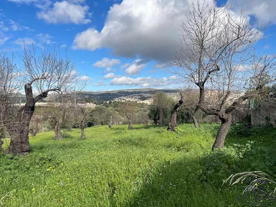 Immagine 15 di Terreno edificabile in vendita  in contrada madonna marina a Noto
