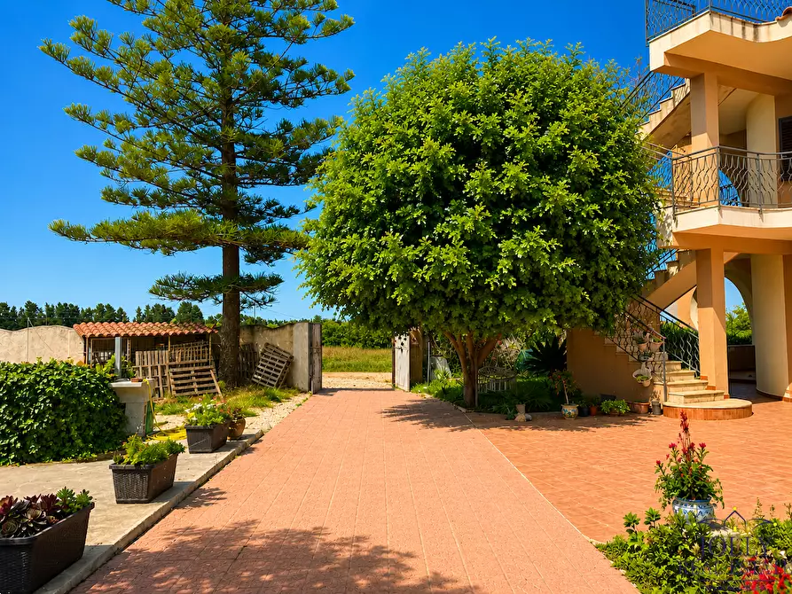 Immagine 34 di Villa in affitto  in via lago maggiore a Siracusa