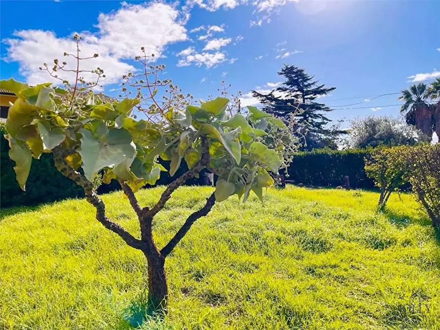 Immagine 43 di Villa in vendita  in Contrada madonna Marina  a Noto