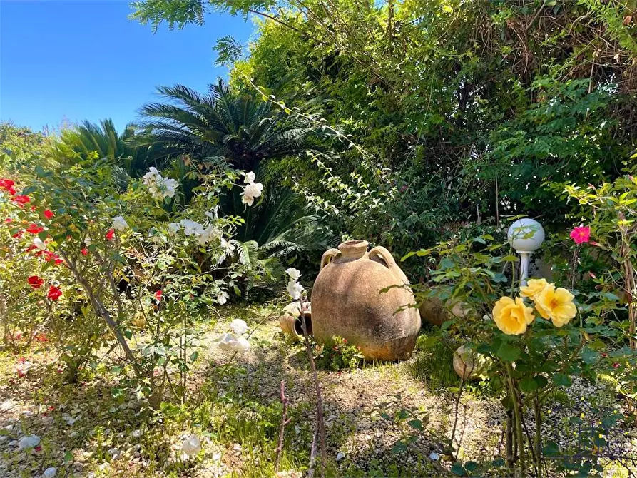 Immagine 3 di Villa in vendita  in Via Senigallia a Siracusa