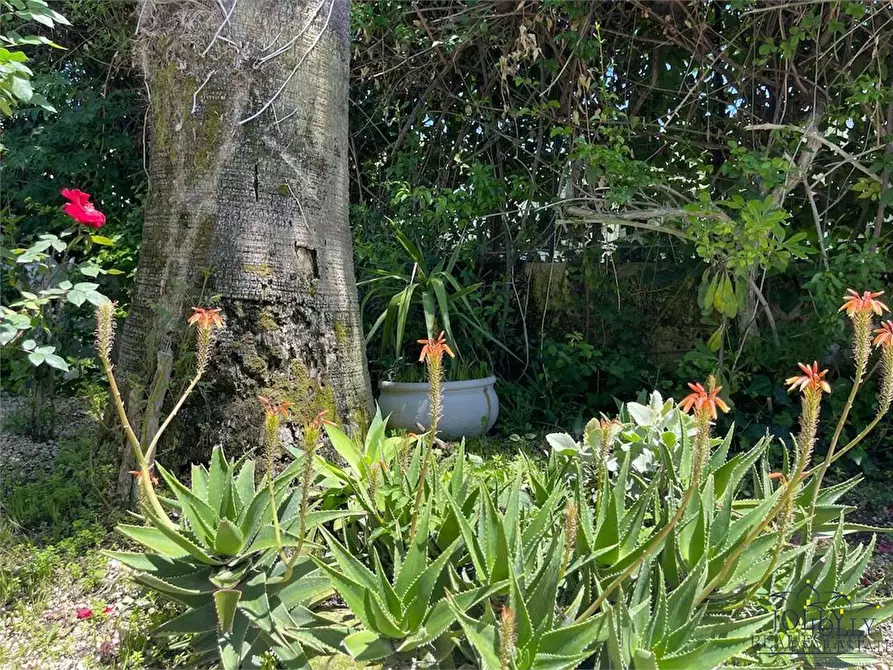 Immagine 60 di Villa in vendita  in Via Senigallia a Siracusa