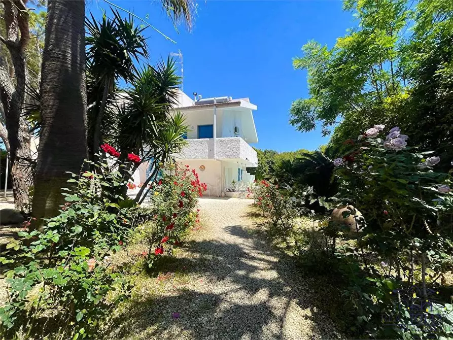 Immagine 62 di Villa in vendita  in Via Senigallia a Siracusa