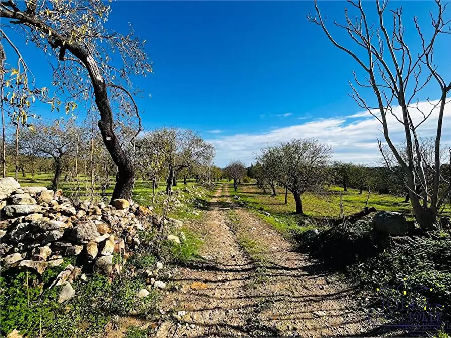 Immagine 3 di Rustico / casale in vendita  in Strade Provinciale a Noto