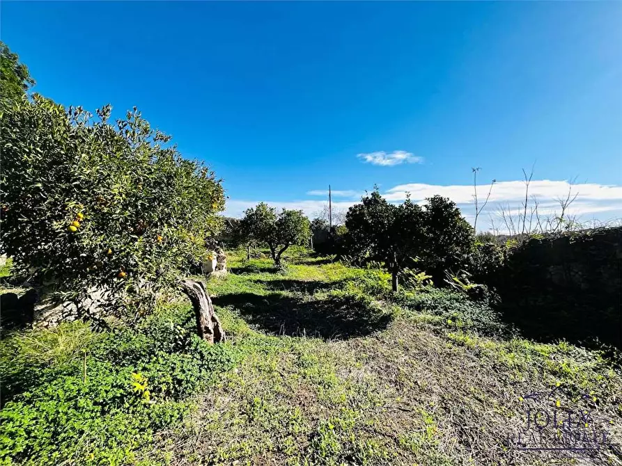 Immagine 20 di Rustico / casale in vendita  in Strade Provinciale a Noto