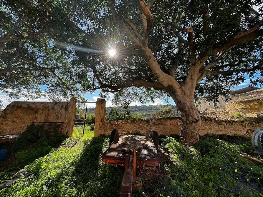 Immagine 33 di Rustico / casale in vendita  in Strade Provinciale a Noto