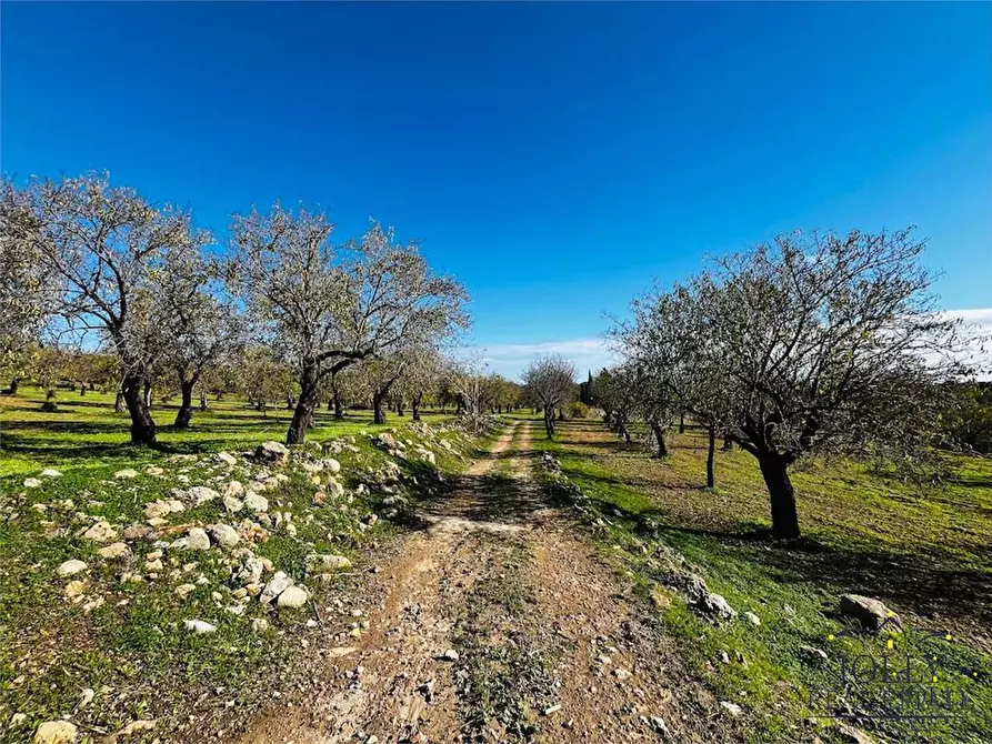 Immagine 41 di Rustico / casale in vendita  in Strade Provinciale a Noto