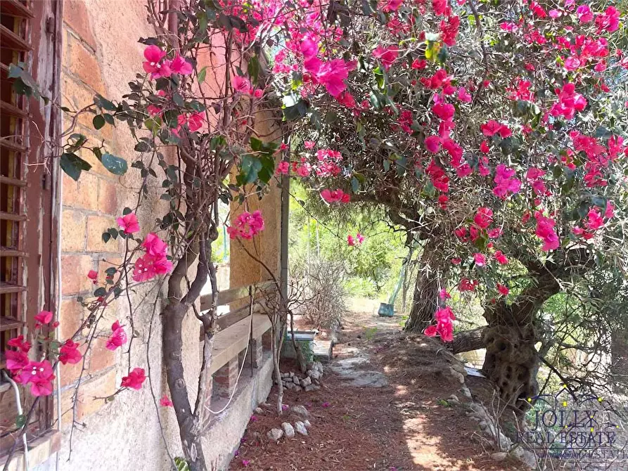 Immagine 37 di Villa in vendita  in Martello a Avola