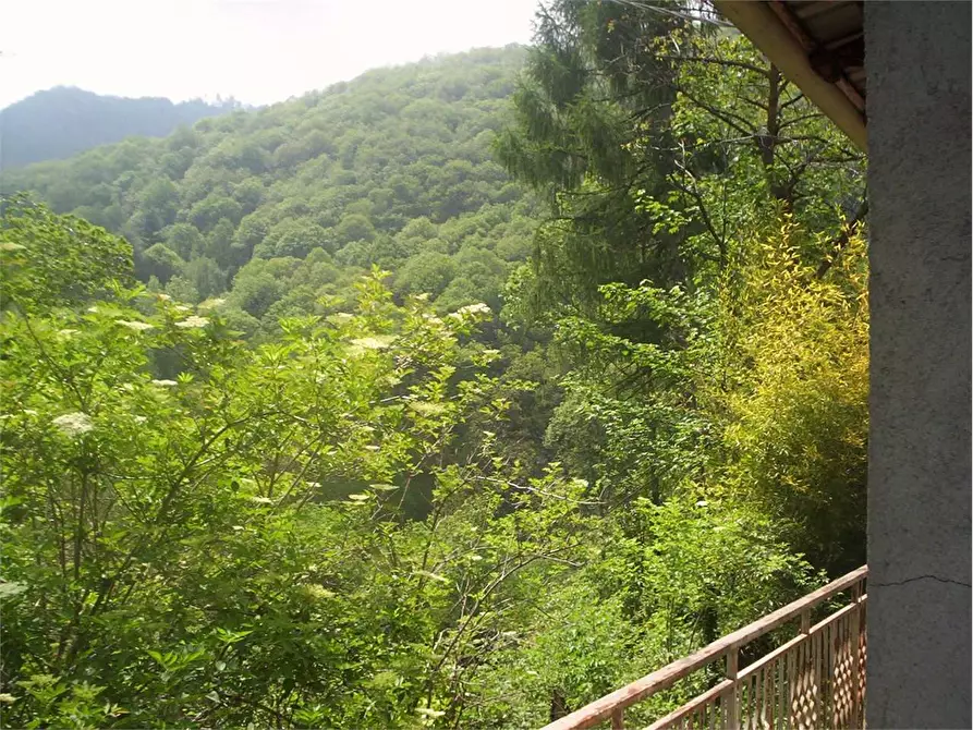 Immagine 2 di Casa indipendente in vendita  in Regione Brua - Via del brich  11 a Martiniana Po