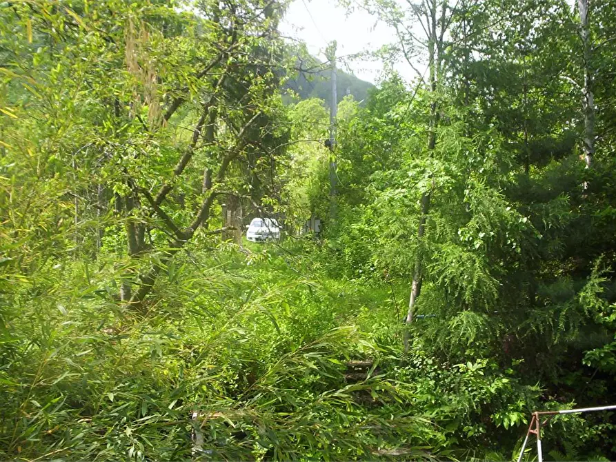 Immagine 32 di Casa indipendente in vendita  in Regione Brua - Via del brich  11 a Martiniana Po