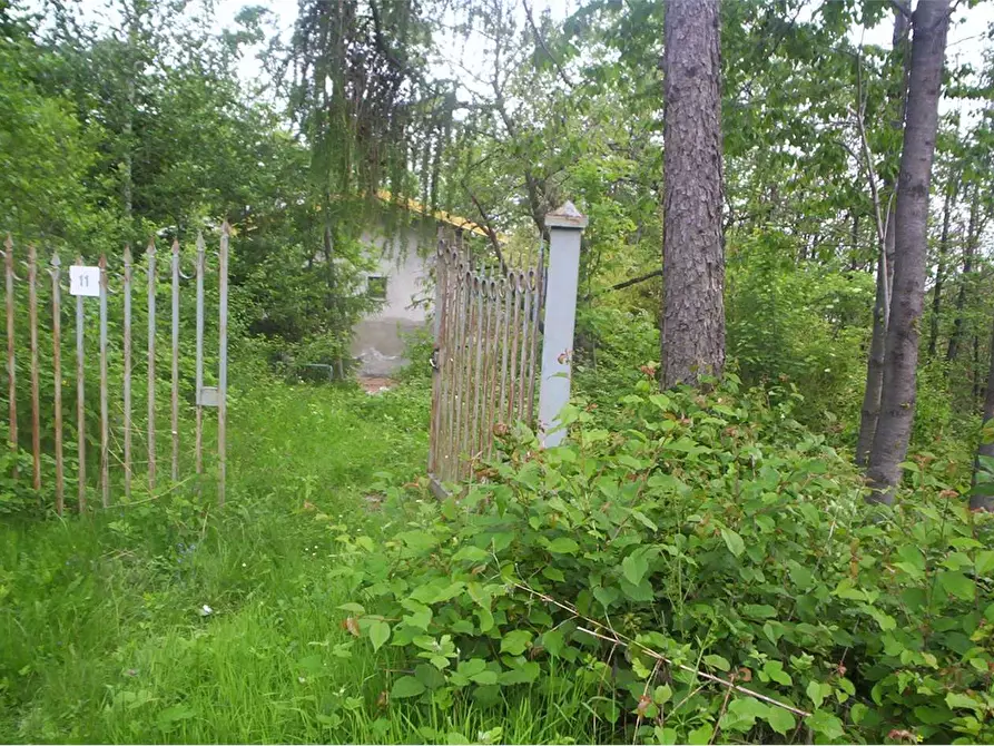 Immagine 21 di Casa indipendente in vendita  in Regione Brua - Via del brich  11 a Martiniana Po