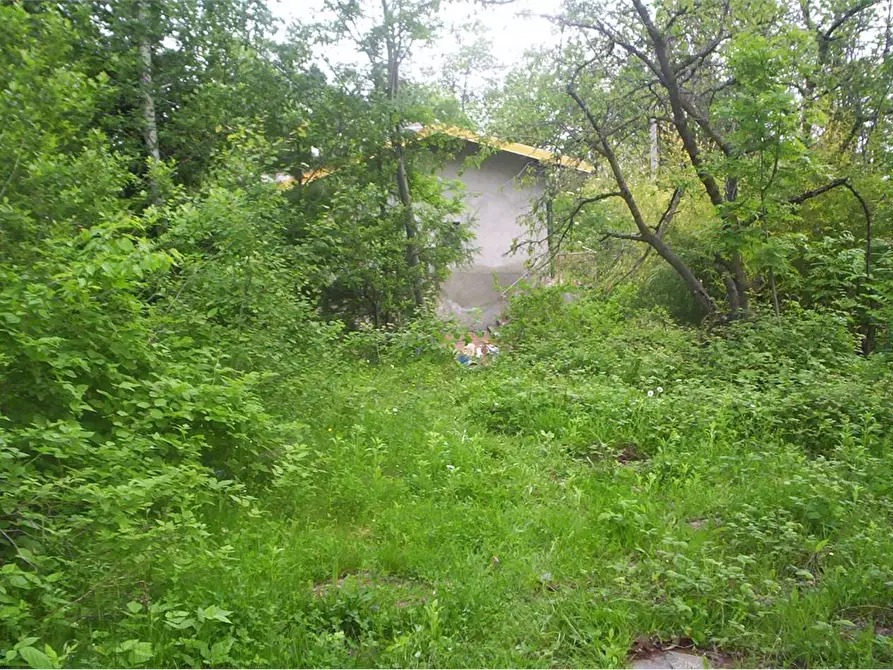 Immagine 24 di Casa indipendente in vendita  in Regione Brua - Via del brich  11 a Martiniana Po