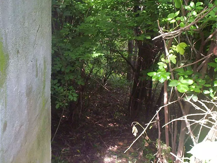 Immagine 33 di Casa indipendente in vendita  in Regione Brua - Via del brich  11 a Martiniana Po