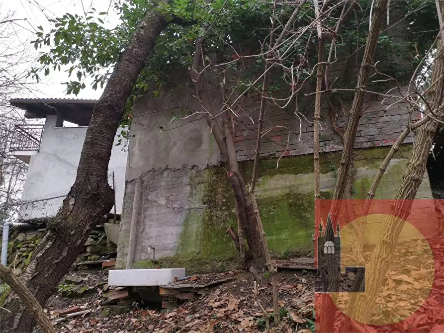 Immagine 37 di Casa indipendente in vendita  in Regione Brua - Via del brich  11 a Martiniana Po