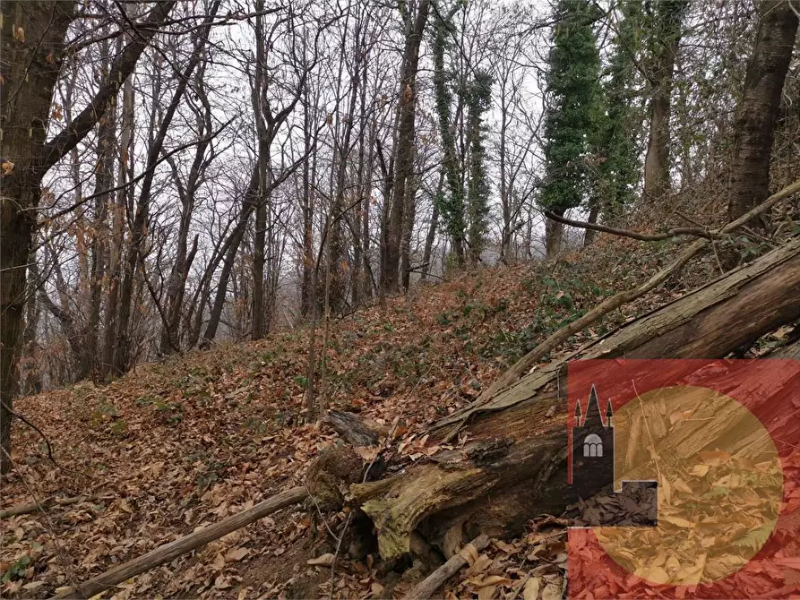 Immagine 42 di Casa indipendente in vendita  in Regione Brua - Via del brich  11 a Martiniana Po