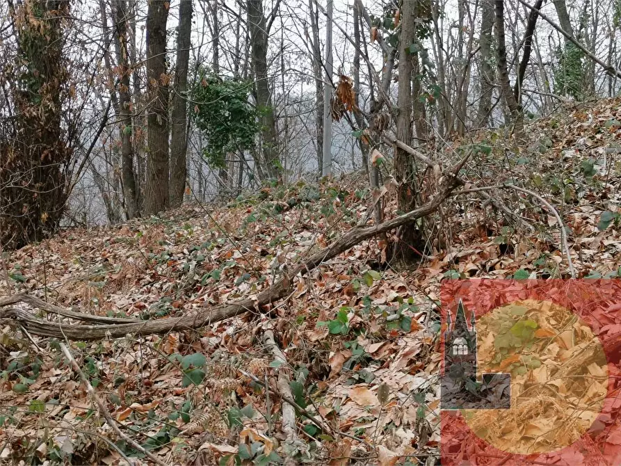 Immagine 43 di Casa indipendente in vendita  in Regione Brua - Via del brich  11 a Martiniana Po