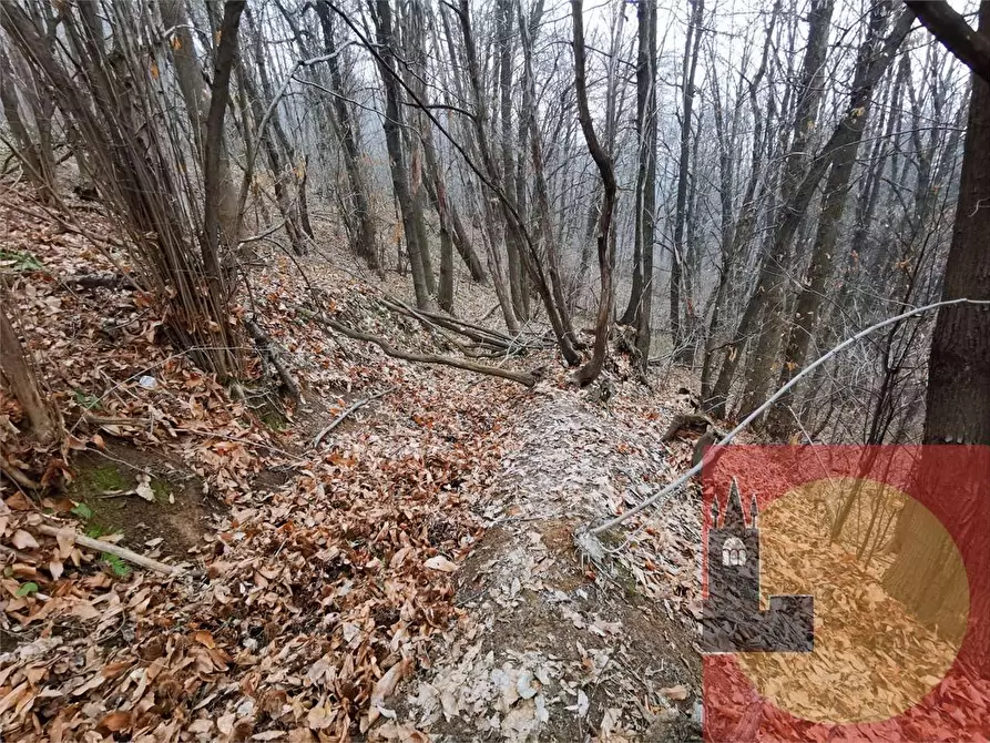 Immagine 44 di Casa indipendente in vendita  in Regione Brua - Via del brich  11 a Martiniana Po