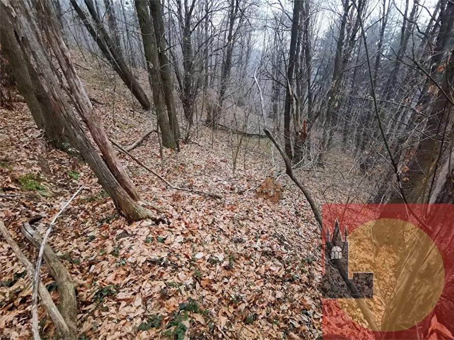 Immagine 45 di Casa indipendente in vendita  in Regione Brua - Via del brich  11 a Martiniana Po