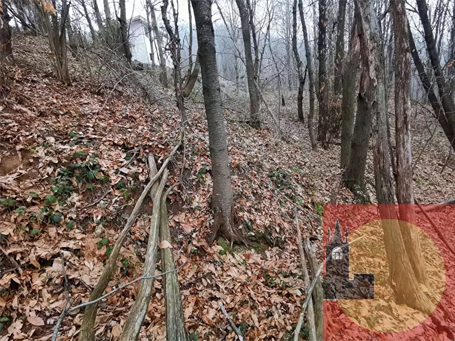 Immagine 46 di Casa indipendente in vendita  in Regione Brua - Via del brich  11 a Martiniana Po