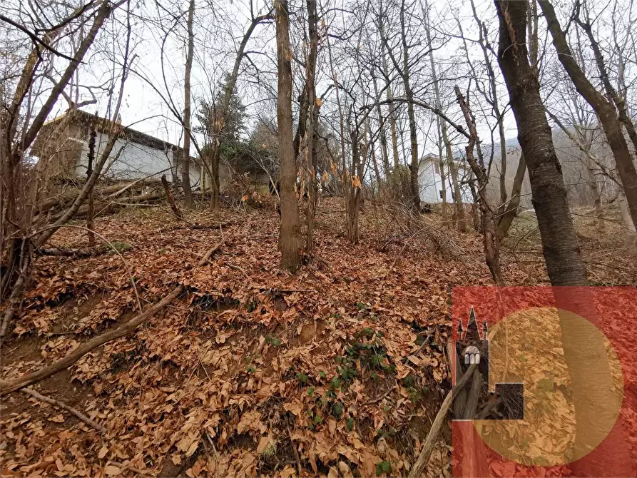 Immagine 41 di Casa indipendente in vendita  in Regione Brua - Via del brich  11 a Martiniana Po