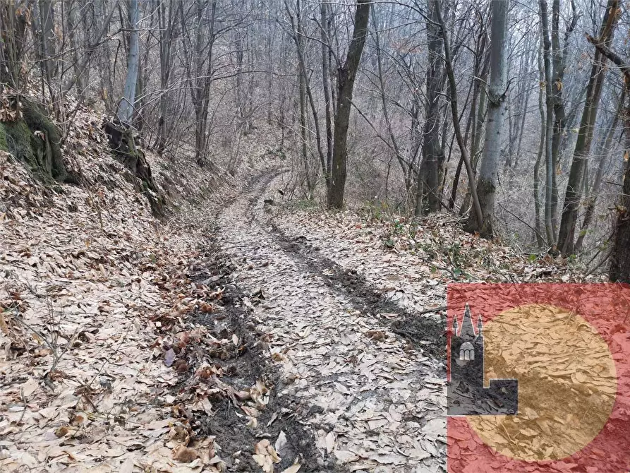 Immagine 83 di Casa indipendente in vendita  in Regione Brua - Via del brich  11 a Martiniana Po