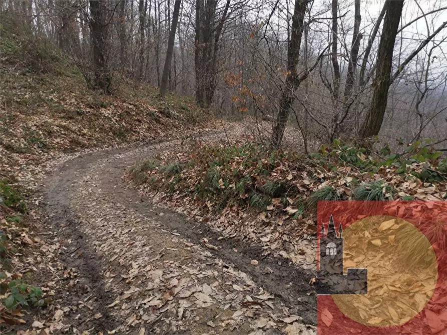 Immagine 84 di Casa indipendente in vendita  in Regione Brua - Via del brich  11 a Martiniana Po