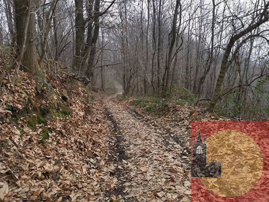 Immagine 86 di Casa indipendente in vendita  in Regione Brua - Via del brich  11 a Martiniana Po