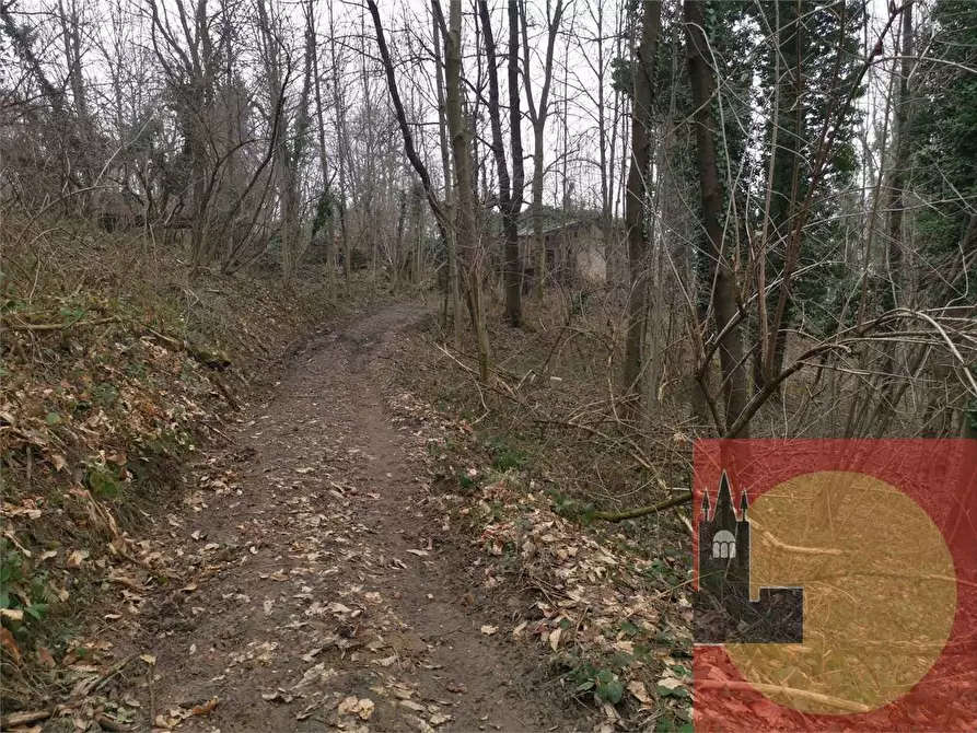 Immagine 82 di Casa indipendente in vendita  in Regione Brua - Via del brich  11 a Martiniana Po