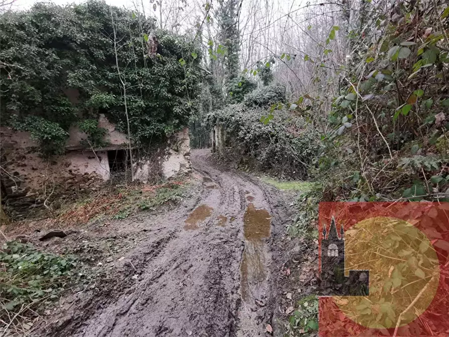 Immagine 76 di Casa indipendente in vendita  in Regione Brua - Via del brich  11 a Martiniana Po