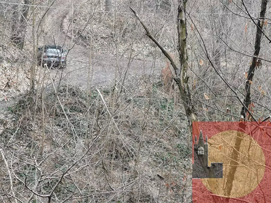 Immagine 74 di Casa indipendente in vendita  in Regione Brua - Via del brich  11 a Martiniana Po