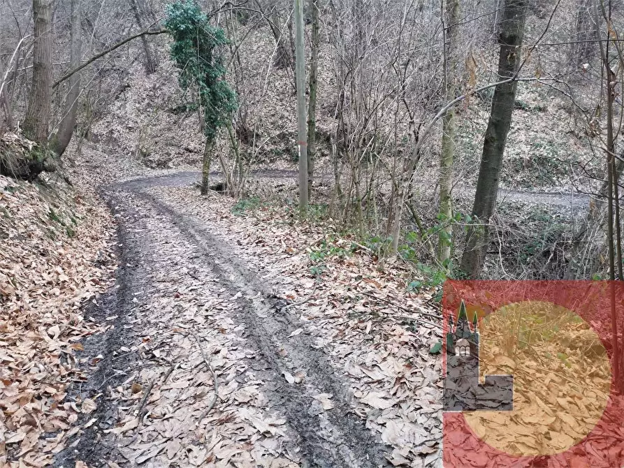 Immagine 85 di Casa indipendente in vendita  in Regione Brua - Via del brich  11 a Martiniana Po