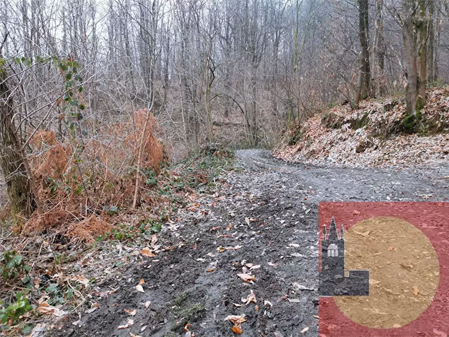 Immagine 73 di Casa indipendente in vendita  in Regione Brua - Via del brich  11 a Martiniana Po