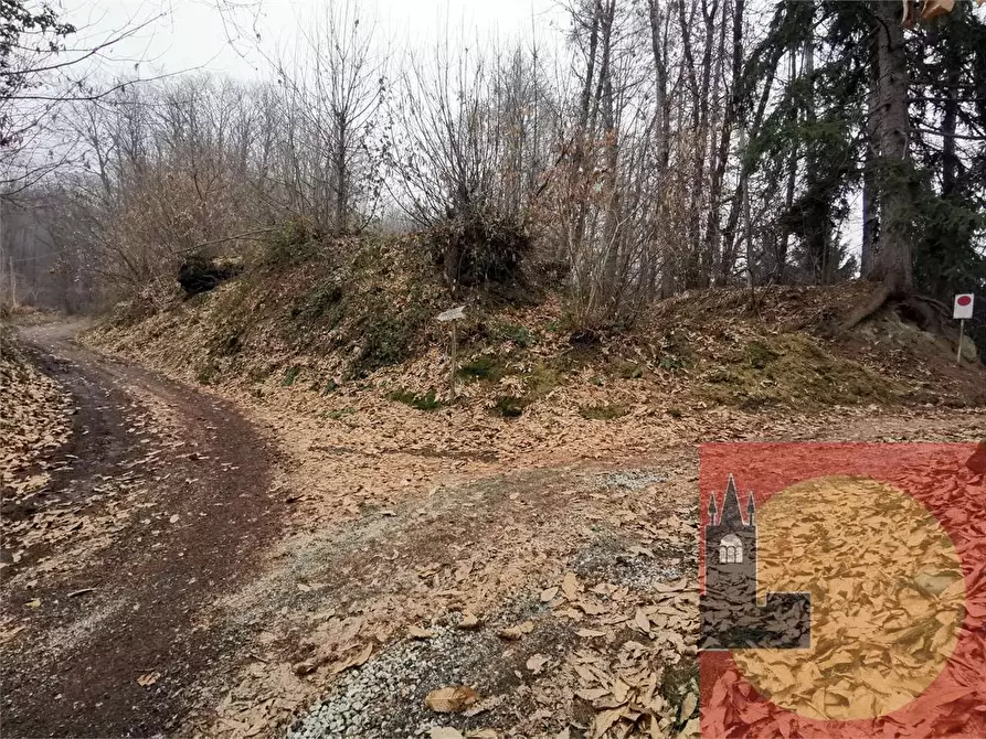 Immagine 71 di Casa indipendente in vendita  in Regione Brua - Via del brich  11 a Martiniana Po